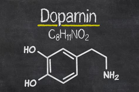 Dopamin ist viel mehr als nur der Botenstoff des Glücks Heilpraxis