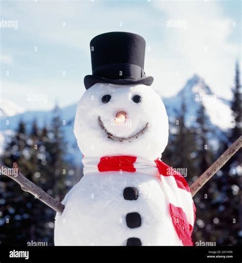 Close Up Of Happy Smiling Snowman Wearing Top Hat And Scarf With Snowy