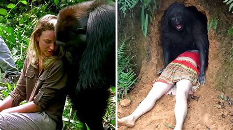 This Woman Got Dangerously Close To A Gorilla And Thats When The Unexpected Happened Youtube