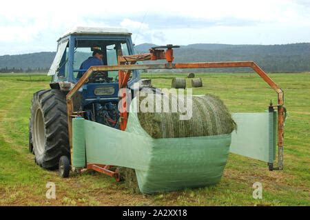 Tractor Wrapping Silage Bales Stock Photo - Alamy