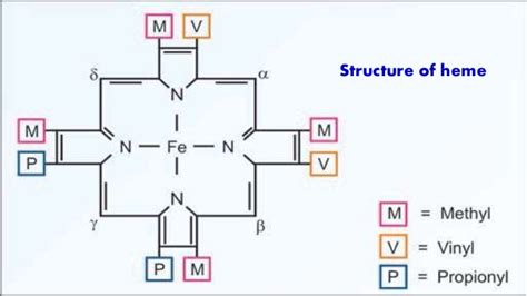 Heme Synthesis : Synthesis of Porphyrin Molecule