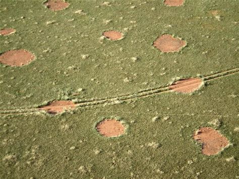 Mysterious African Fairy Circles Stump Scientists Live Science