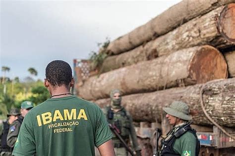 Todas As Multas Ambientais Aplicadas No Brasil Direitos Humanos