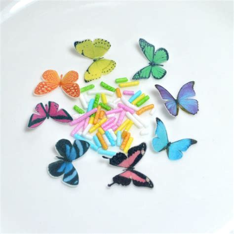 Butterflies ⋆ Wicksteads