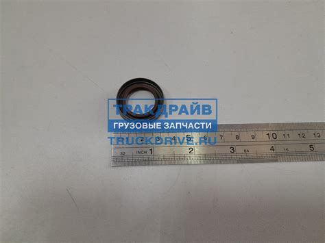 Сальник ТНВД Iveco Daily 20x31x7,3 мм. 12019586B CORTECO купить недорого