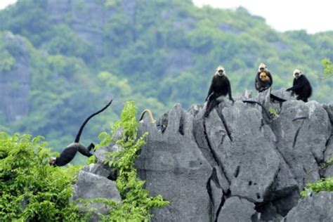 De 10 Mooiste Eilanden In Vietnam Go2Vietnam Nl