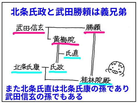 歴史系図トリビア 武田・北条・今川、戦国大名三家の血縁関係について 歴史好きなぶたさん