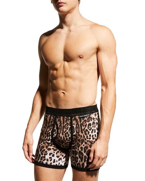 Dolceandgabbana Boxer Briefs In Leopard Print Elasticized Waist Cotton