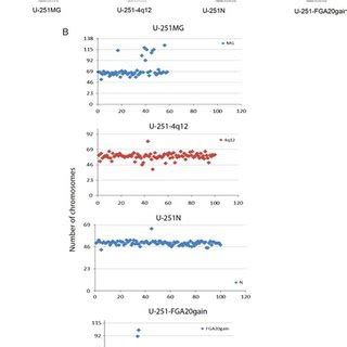 DNA Ploidy And Karyotyping Flow Cytometric DNA Ploidy Analyses Show