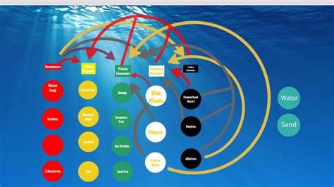 Pacific Ocean Ecosystem by Alexander NotTelling on Prezi