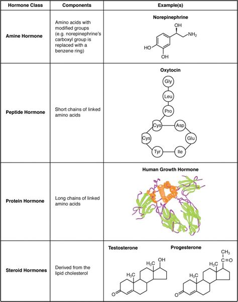 Lipids Structure And Function