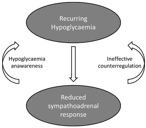 Effects Of Hypoglycemia On Cardiovascular Function In Patients With