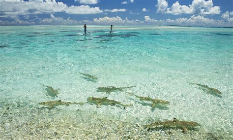 Tikehau Travel Guide and Tikehau Vacation Deals | Tahiti.com