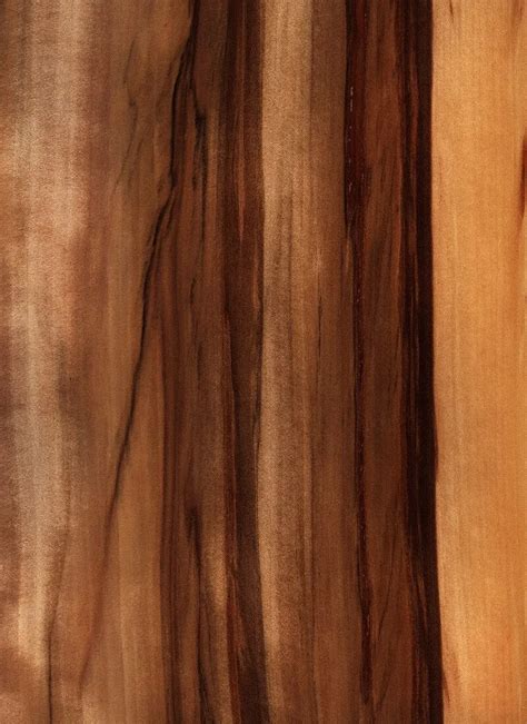 Red Gum Wood Veneer M Bohlke Corp Veneer And Lumber