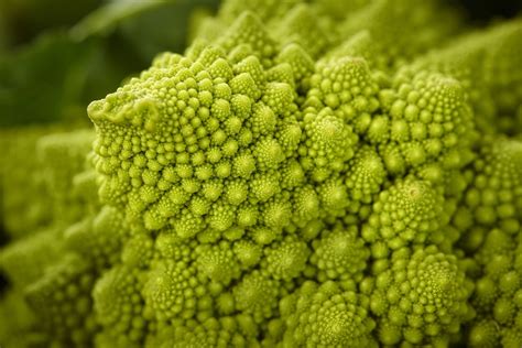 Romanesco Broccoli A Mathematical Delight Cgtn