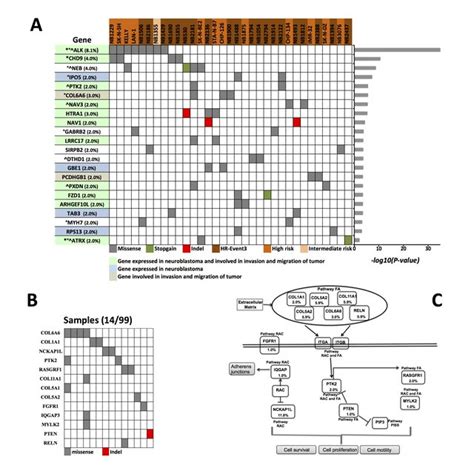 Prioritized Genes And Altered Pathways A Data Matrix Showing