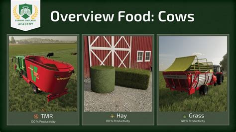 Farming Simulator Cows How To Breed And Care For Cattle