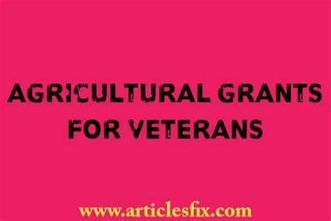 How to get agricultural grants for veterans In The United States - Divijos