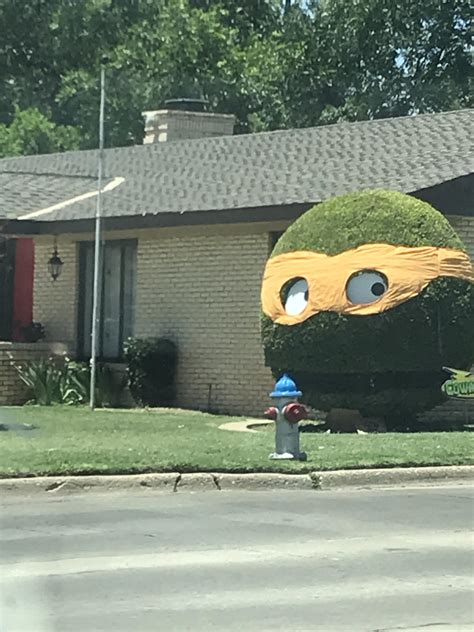 The things to do in lubbock tx surprise that tourists love most 21