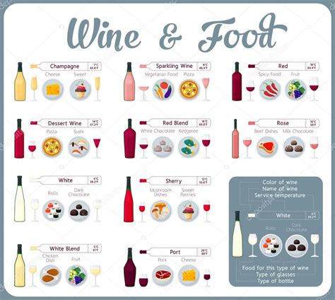 Types Of Wine With Food Wine Tasting Guide Stock Vector Image By ©pro