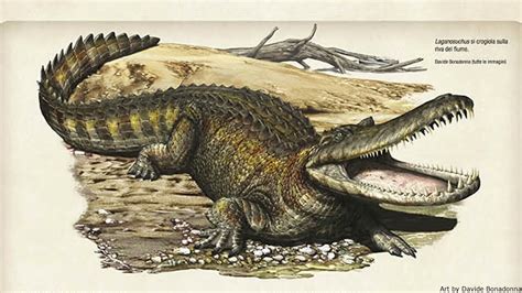 Stomatosuchus