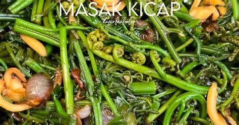 Resipi Pucuk Paku Dan Sotong Masak Kicap Oleh Kakak Faa Cookpad