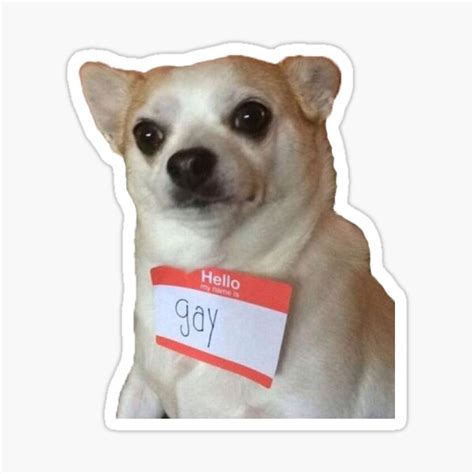 Hello My Name Is Gay Sticker For Sale By Savebeesplease Redbubble