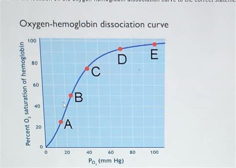 Solved Oxygen Hemoglobin Dissociation Curve Point Showing Chegg