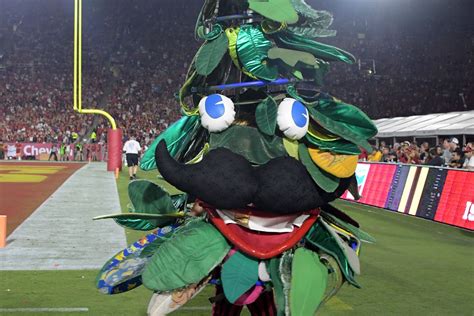 Notre Dame Irish Football Stanford Cardinal Qanda With Rule Of Tree