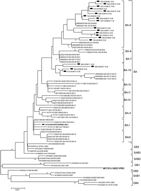 Phylogenetic Tree For Rsv B Nucleotide Sequences Based On Nd Variable