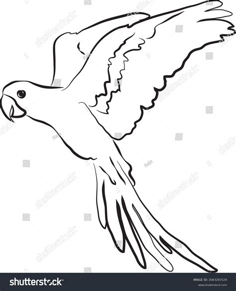 Flying Parrot Line Hand Drawing Stock Vector (Royalty Free) 2083283524 ...