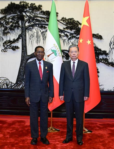 Focac China S Top Legislator Meets President Of Equatorial Guinea Xinhua