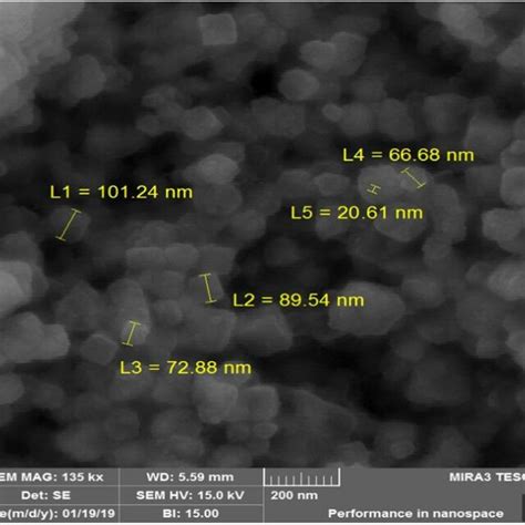 Scanning Electron Micrographs SEM Of AgNPs By TESCAN MIRA3 The Size