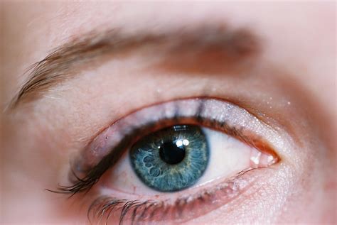 Eye health – facts and fiction 