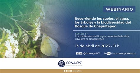 Conacyt M Xico On Twitter Webinario Conacyt Te Invita A La