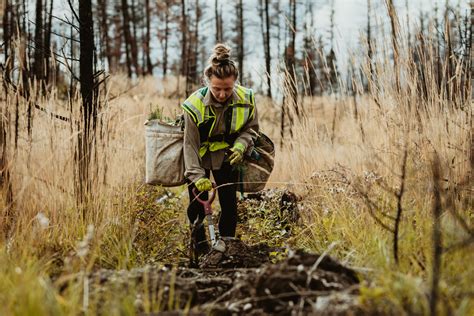 Fiche métier Technicien animalier salaire étude rôle et compétence