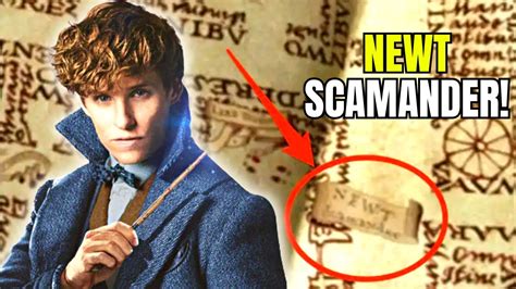 The Curious Case Of Newt Scamander And Marauders Map Harry Potter