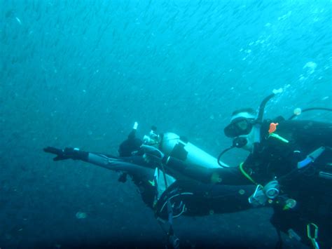 Bartolome Island Diving Tour Get Travel Galapagos Agency Tours