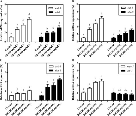 Relative Expression Levels Of Antioxidant Related Genes In C Elegans