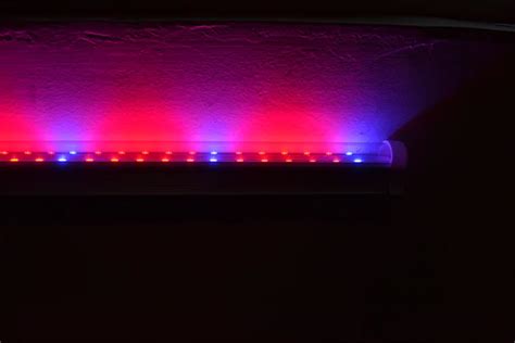 Pitaya And Plant Use Red And Blue Led Tube Lighting Type Degree T