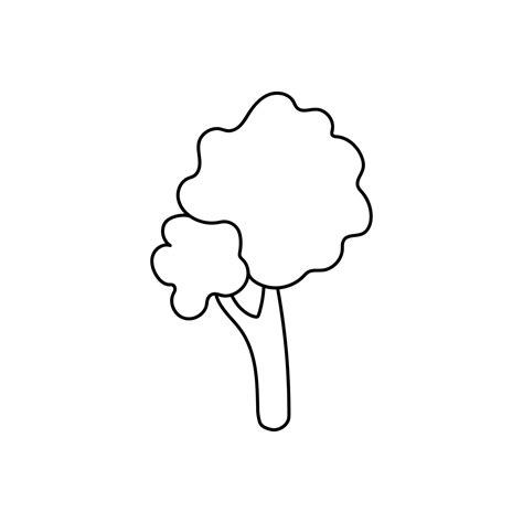 hand drawn vector illustration tree  vector art  vecteezy