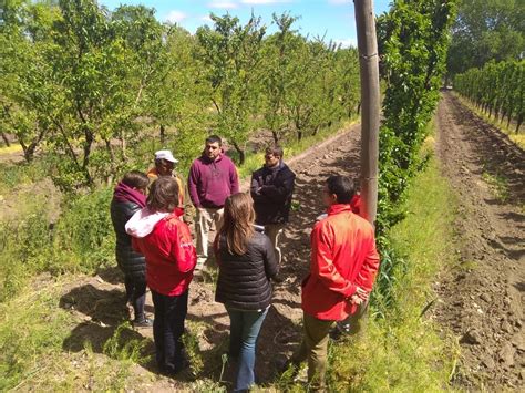 Colectivo Agroecol Gico Del R O Negro Comarca Viedma Patagones