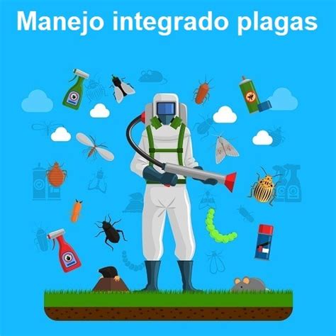 Servicios Control De Plagas Unidad Sanitaria De Fumigaciones