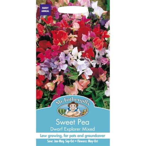 Seminte LATHYRUS Odoratus Sweet Pea Dwarf Explorer Mixed Sangele