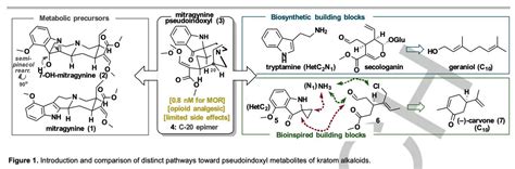 Total Synthesis On Twitter Totalsynthesis And Structural Plasticity