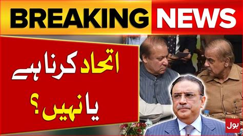 Asif Zardari Formula Nawaz Sharif Deal With Asif Zardari Elections