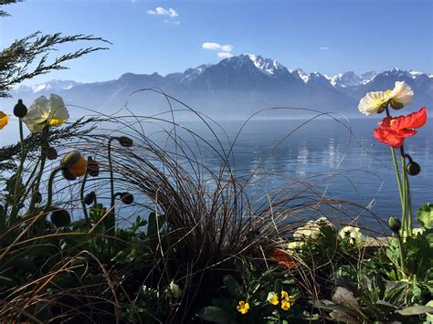 Nature Water Switzerland - Free photo on Pixabay - Pixabay