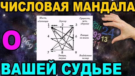 ЧИСЛОВАЯ МАНДАЛА О ВАШЕЙ СУДЬБЕ - YouTube