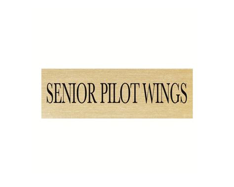 Air Force Senior Pilot Wings Id Plate