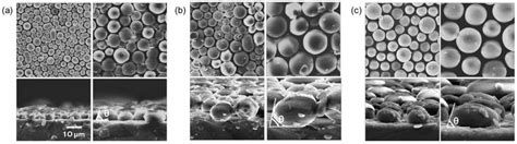 The scanning electron microscopy (SEM) images of the micro-sphere PDMS ... 